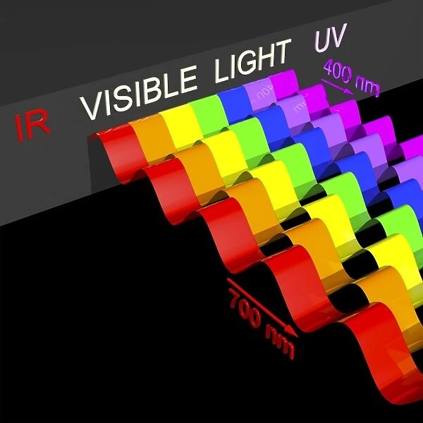 Visible light spectrum, artwork C016  /  9847