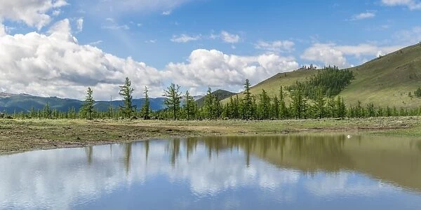 Water pond and fir trees in White Lake National Park, Tariat district, North Hangay province