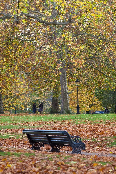 Autumn in Green Park, London, England
