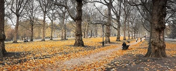UK, England, London, Green Park, Autumn