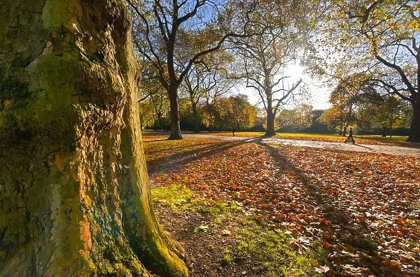 UK, England, London, Hyde Park in Autumn