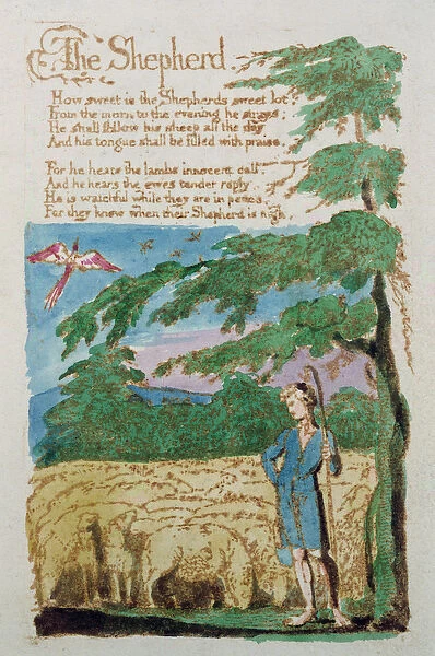 The Shepherd, from Songs of Innocence, 1789 (coloured etching)