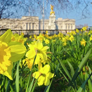 London Springtime