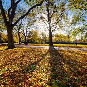 UK, England, London, Hyde Park in Autumn