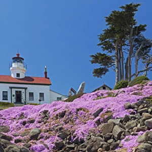 CA, Crescent City, Battery Point Lighthouse; Ice Plants in full bloom
