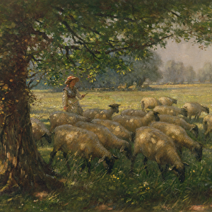 The Shepherdess (oil on canvas)