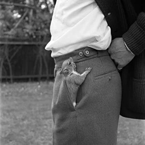 Is that a squirrel in your pocket or are you just happy to see me. June 1960 M4257