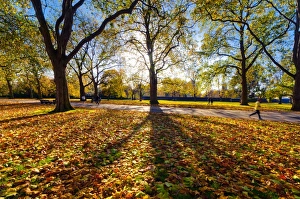 UK, England, London, Hyde Park in Autumn